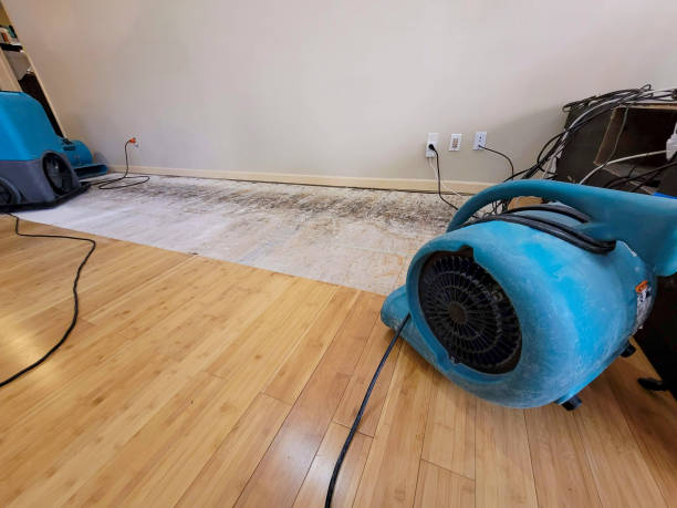 Reliable Basement Flood Cleanup contractor in Lawrence, KS by Hirex Water Damage
