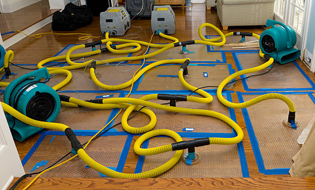 Professional Basement Flood Cleanup technician working in Lawrence, KS